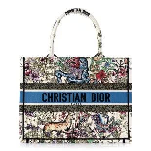 CHRISTIAN DIOR Canvas Constellation Embroidered Medium .